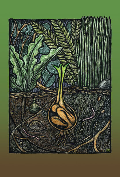 Germination (postcard)